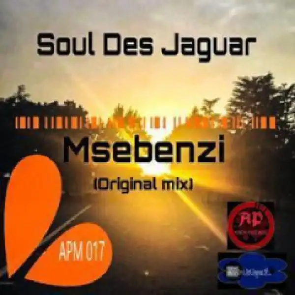 Soul Des Jaguar - Msebenzi (Original Mix)
